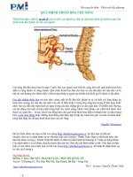 QUÁ TRÌNH THOÁI HÓA CỘT SỐNG doc