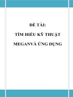 Đồ án tốt nghiệp - Phân tích thiết kế hệ thống - TÌM HIỂU KỸ THUẬT MEGAN VÀ ỨNG DỤNG potx