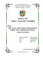 Luận văn: Đề xuất giải pháp nhằm hoàn thiện quy trình đảm bảo chất lượng pot
