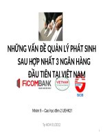 Những vấn đề quản lý phát sinh sau hợp nhất 3 ngân hàng đầu tiên tại Việt Nam doc