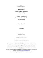 Sneak Preview Branding 123 and Product Launch 123 potx