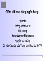 Hội thảo : Giám sát hoạt động ngân hàng pot