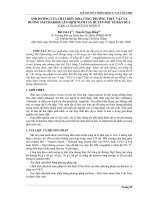 Báo cáo khoa học: Ảnh hưởng của chất điều hòa tăng trưởng thực vật và đường saccharose lên dịch nuôi cấy huyền phù tế bào dừa cạn catharanthus roseus. pdf