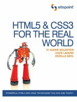 HTML5 & CSS3 For The Real World pptx