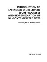INTRODUCTION TO ENHANCED OIL RECOVERY (EOR) PROCESSES AND BIOREMEDIATION OF OIL‐CONTAMINATED SITES pot