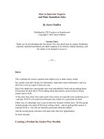 How to Interview Experts and Make Immediate Sales By Jason Fladlien pdf