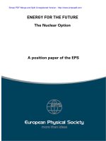 ENERGY FOR THE FUTURE pdf