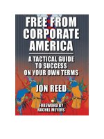 Free From Corporate America A Tactical Guide to Success on Your Own Terms By Jon Reed pptx
