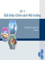 Chính sách môi trường potx