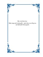 Báo cáo khoa học: Hiện trạng môi trường đất - nước khu vực trồng rau tại thành phố thái nguyên doc