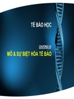 MÔ VÀ SỰ BIỆT HÓA TẾ BÀO. potx