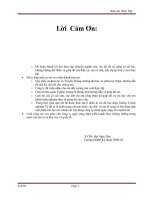 Bui Nghi Thai pdf