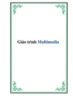 Giáo trình Multimedia pptx
