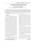 Báo cáo khoa học: ác tiền tố của định hướng thị trường: một nghiên cứu thực nghiệm tại Việt Nam pptx
