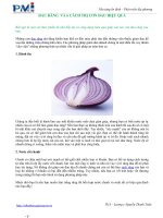 ĐAU RĂNG VÀ 6 CÁCH TRỊ CƠN ĐAU HIỆU QUẢ doc