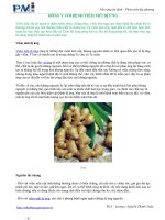 ĐÔNG Y VỚI BỆNH VIÊM MŨI DỊ ỨNG pdf