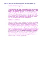 Tìm hiểu về WebMatrix potx