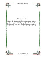 Báo cáo khoa học: Những yếu tố tác động đến cộng đồng dân cư nông nghiệp trong quá trình công nghiệp hoá, hiện đại hoá nông nghiệp, nông thôn vùng đồng bằng sông hồng pptx