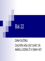 Bài 22 dinh dưỡng chuyển hóa vật chất, năng lượng ở VSV