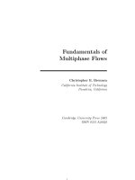 Fundamentals of Multiphase Flow Cambridge University Press pdf