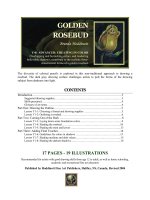 Y-01 ADVANCED: CREATING IN COLOR potx