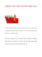 CHIẾN LƯỢC CHO THƯƠNG HIỆU SAU docx