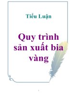 Tiểu Luận : Quy trình sản xuất bia vàng pptx
