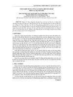 Báo cáo khoa học: Tổng hợp màng cứng CrN bằng phương pháp phún xạ mạ ion (SIP) ppt