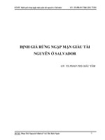 Định giá rừng ngập mặn giàu tài nguyên ở Salvador doc