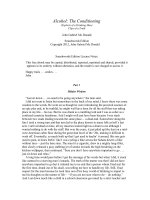 Alcohol: The Conditioning(Exploits of a Drinking Man) doc