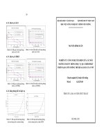 NGHIÊN CỨU CÔNG NGHỆ TÍCH HỢP GIỮA CÁC MÔI TRƯỜNG TRUYỀN THÔNG PHỤC VỤ QUÁ TRÌNH PHÁT TRIỂN MẠNG VIỄN THÔNG THẾ HỆ SAU(NGN) CỦA VNPT