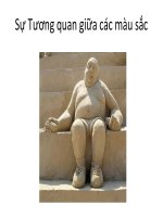 Bài 5. Sự Tương quan giữa các màu sắc pptx