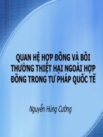 BÀI GIẢNG: QUAN HỆ HỢP ĐỒNG VÀ BỒI THƯỜNG THIỆT HẠI NGOÀI HỢP ĐỒNG TRONG TƯ PHÁP QUỐC TẾ doc