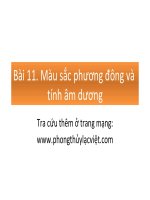 Bài 11. Màu sắc phương đông và tính âm dương pdf