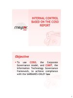 INTERNAL CONTROL BASED ON THE COSO REPORTO pot