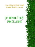QUY TRINH UOM CUA GIONG LAN 2 pdf