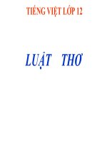 luật thơ 1