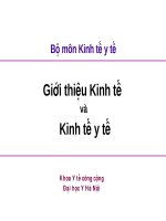 BÀI GIẢNG: Giới thiệu Kinh tế - Kinh tế y tế potx