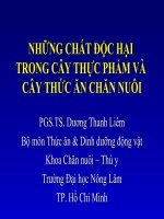 Những chất độc hại trong cây thực phẩm và chăn nuối pot