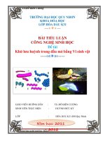 Khử lưu huỳnh trong Dầu mỏ bằng Vi sinh vật pdf