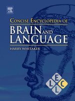 CONCISE ENCYCLOPEDIA OF BRAIN AND LANGUAGE pdf