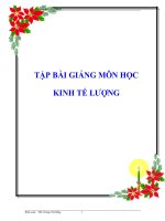 Tập bài giảng môn học : Kinh tế lượng pdf