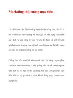 Marketing thị trường mục tiêu pdf
