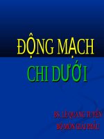 ĐỘNG MẠCH CHI DƯỚI doc