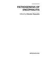 PATHOGENESIS OF ENCEPHALITIS docx