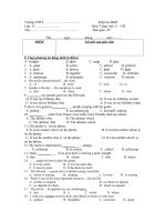 Đề Kiễm tra HKII Môn: Tiếng Anh 11 – CB pptx