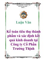 Luận văn: Kế toán tiêu thụ thành phẩm và xác định kết quả kinh doanh tại Công ty Cổ Phần Trường Thịnh doc
