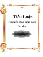 Tiểu luận: Tìm hiểu công nghệ Web Service ppt