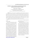 Báo cáo khọc học: Mô phỏng sự thay đổi nhiệt độ thành phố Hồ Chí Minh theo qui hoạch đô thị đến năm 2020 doc