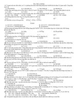 Este, lipit, xà phòng pptx